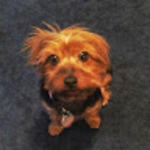 Meet your Posher, Gary